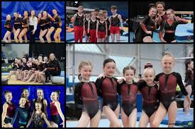 Image result for Phoenix Gymnastics Club