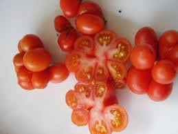 Afbeeldingsresultaat voor voyage tomato