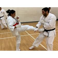 Image result for Kenshukai Karate