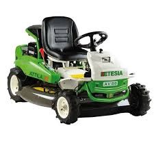 Image result for etesia tehron
