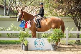 Image result for Woodhill Riding Club