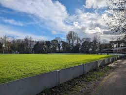 Image result for Woodmansterne Cricket Club