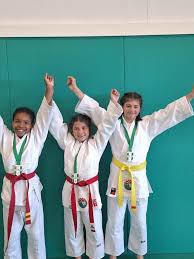 Image result for Micklefield Judo Club