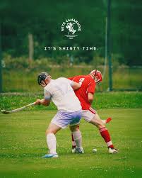 Image result for Skye Camanachd