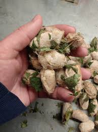 Attēlu rezultāti vaicājumam “Phylloneta cocoon”