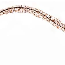 Attēlu rezultāti vaicājumam “Stemonitis marjana stalked”