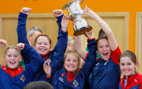 Image result for Clonmore Gfc