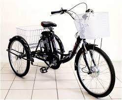 Image result for электрический