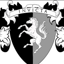 Image result for Invicta Knights