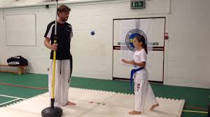 Image result for Cornwall Tae Kwon-Do