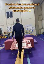 Image result for Gymmagic