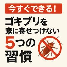 Image result for ゴキブリ報告所