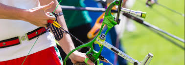 Image result for Blue Arrows Archery Club