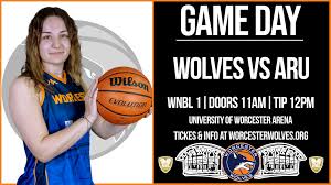Image result for Worcester Wolves Basketball Club