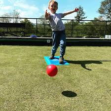 Image result for Llandrindod Wells Bowling Club