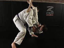 Image result for Hillsborough Judo Club