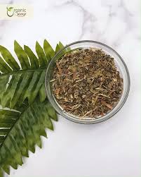 Attēlu rezultāti vaicājumam “Taraxacum officinale aggr. leaf”