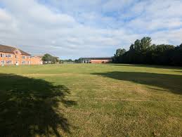 Image result for Highworth Scrabble Club