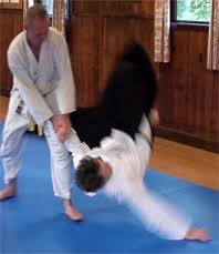 Image result for White Oak Aikido Reading