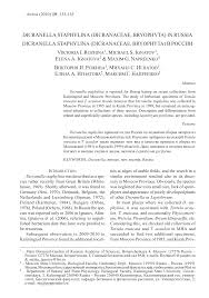 Attēlu rezultāti vaicājumam “Dicranella staphylina”