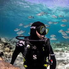 Image result for Ruislip Snorkelling Club