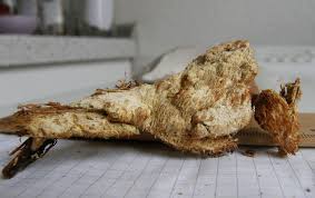 Attēlu rezultāti vaicājumam “Sarcodontia crocea”