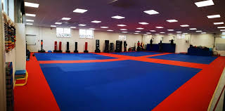 Image result for Basingstoke Aikido Club