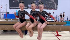 Image result for Wade Gymnastics Club