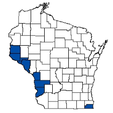 Image result for Alosa chrysochloris