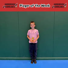 Image result for Harborough Junior Dodgeball Club