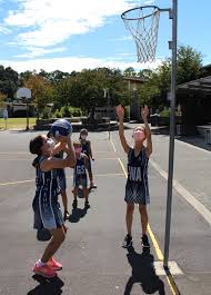 Image result for Pinehurst Netball Club