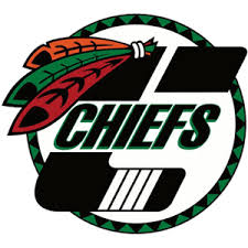 Image result for Streatham Chiefs Ice Hockey Club