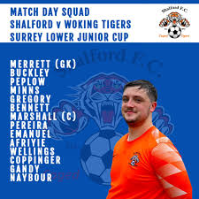 Image result for Shalford F C