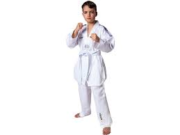 Image result for ENGLISH INTERNATIONAL ALLSTYLES TAEKWONDO