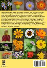 Attēlu rezultāti vaicājumam “Asteraceae”