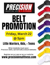 Image result for Precision Martial Arts
