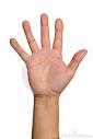 Stock Image: Open Hand