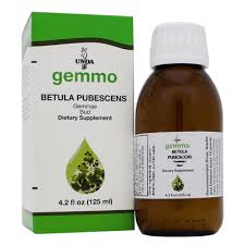 Attēlu rezultāti vaicājumam “Betula pubescens”