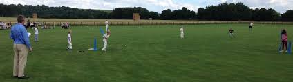Image result for Roding Valley Cricket Club