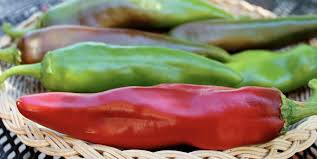 Afbeeldingsresultaat voor numex chimayo hot pepper