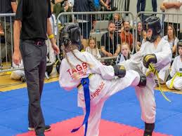 Image result for Phoenix Martial Arts