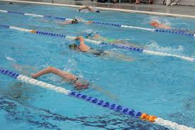 Image result for Swindon Dolphins Swimming Club