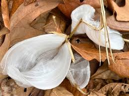 Attēlu rezultāti vaicājumam “Frost Flowers”