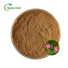 Attēlu rezultāti vaicājumam “Epilobium parviflorum”