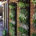 Herb Gardens 30 great Herb Garden Ideas - The Cottage Market