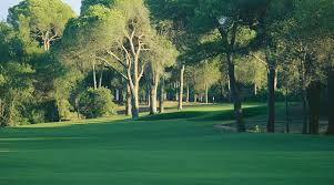 Image result for Cornelia Badminton Club