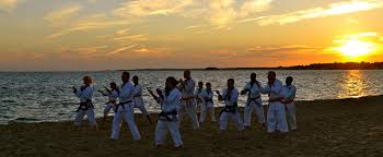 Image result for New Path Martial Arts Academy