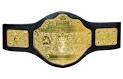 Turnbuckle TrashTalk: WWE/ TNA Champions Roll Call