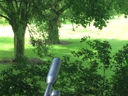 Image result for Grantham Target Shooting Club