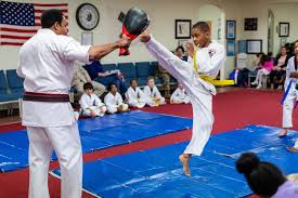 Image result for Devines Martial Arts